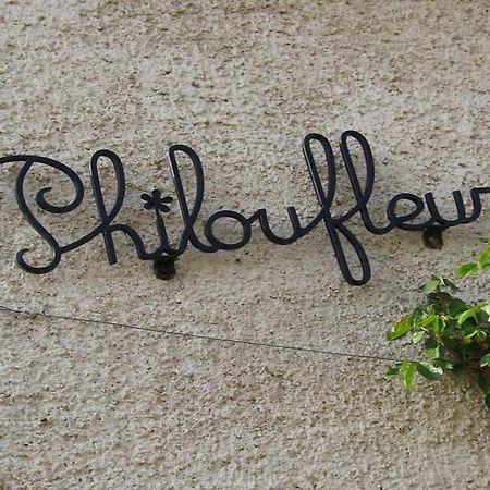 Philoufleur - Gite Restaure En Campagne Chaneins Экстерьер фото